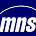 3com_mns.jpg (2751 bytes)